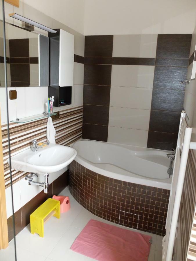 Apartment Třeboň מראה חיצוני תמונה