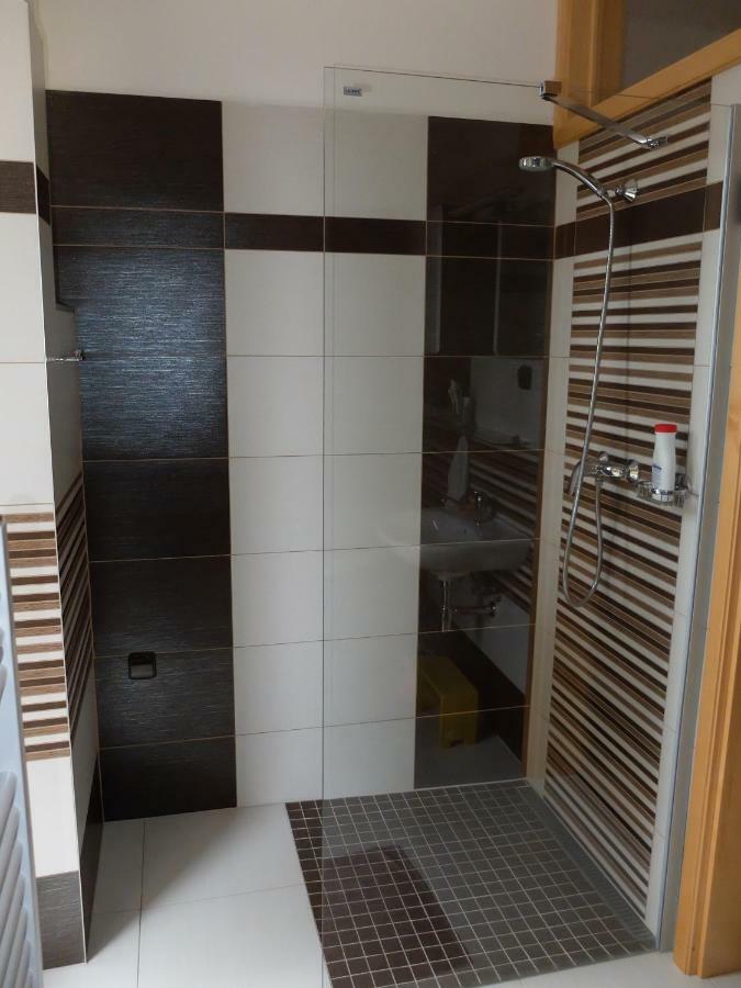 Apartment Třeboň מראה חיצוני תמונה