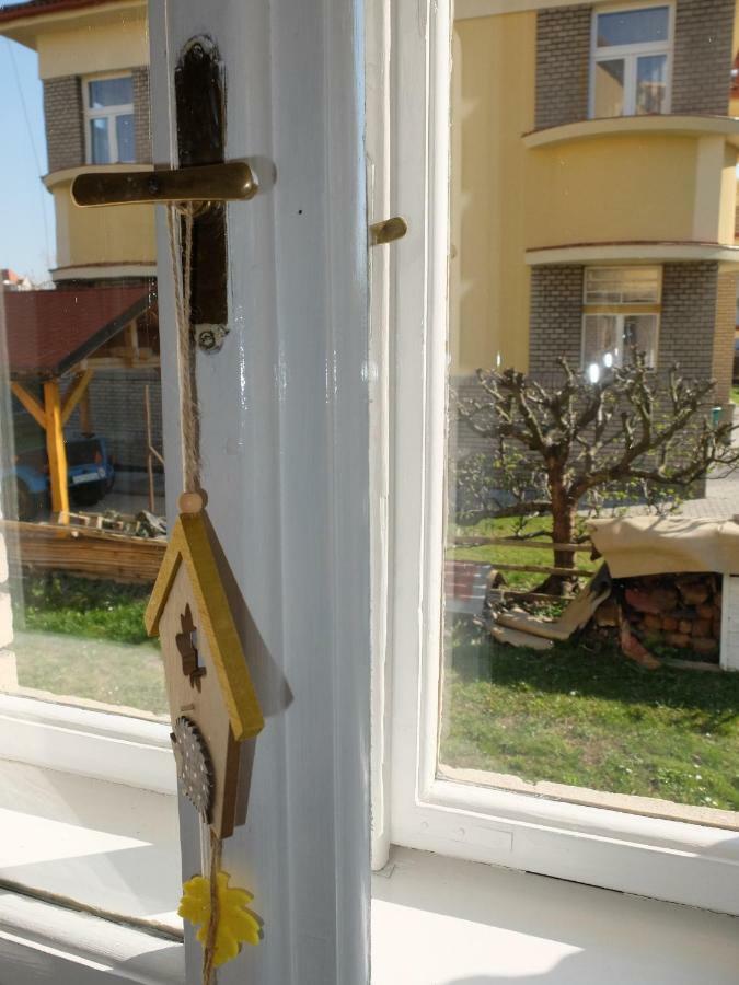 Apartment Třeboň מראה חיצוני תמונה